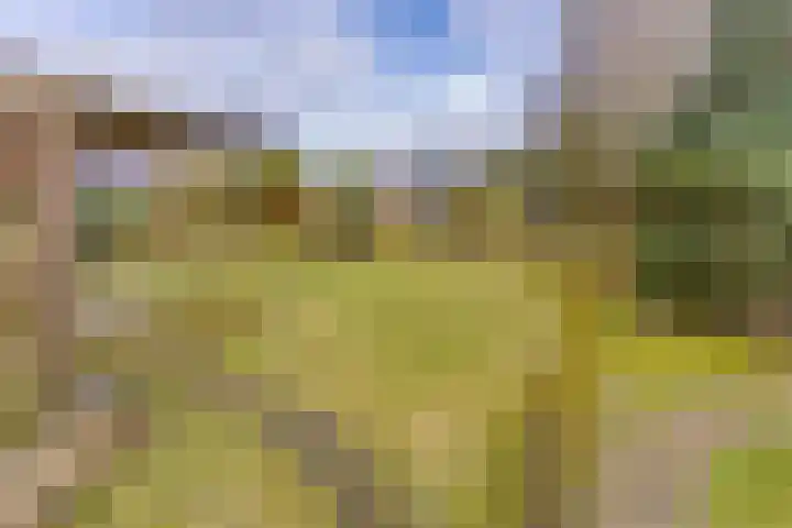 Munnekemoer Oost 3 Ter Apel thumbnail 41
