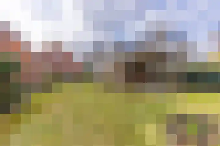 Munnekemoer Oost 3 Ter Apel thumbnail 42