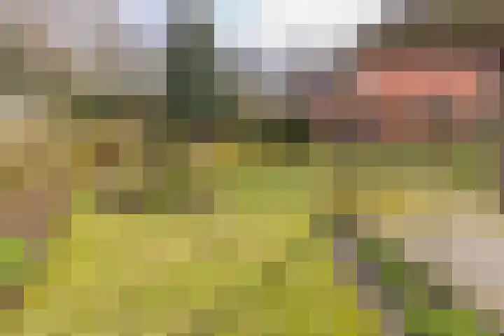 Munnekemoer Oost 3 Ter Apel thumbnail 43