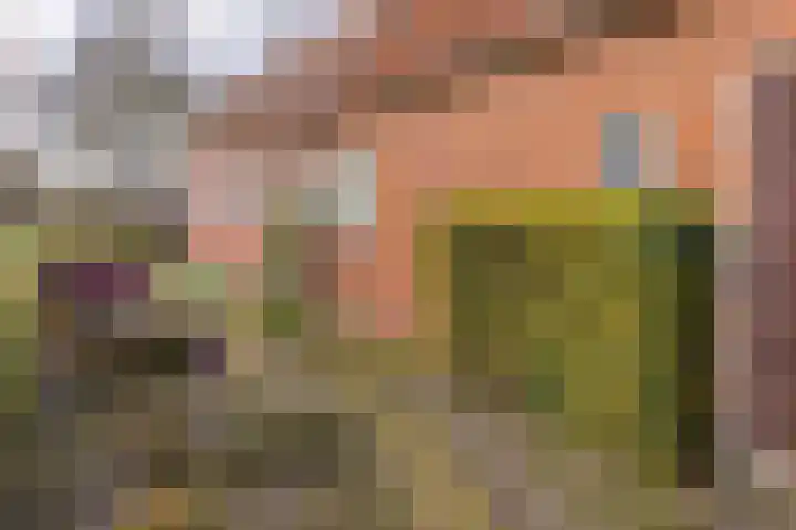 Munnekemoer Oost 3 Ter Apel thumbnail 44