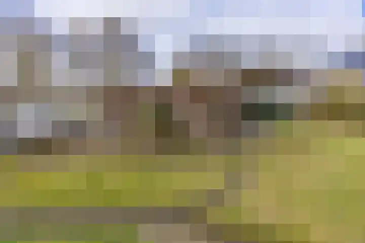 Munnekemoer Oost 3 Ter Apel thumbnail 45