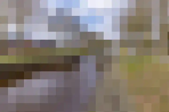 Munnekemoer Oost 3 Ter Apel thumbnail 5
