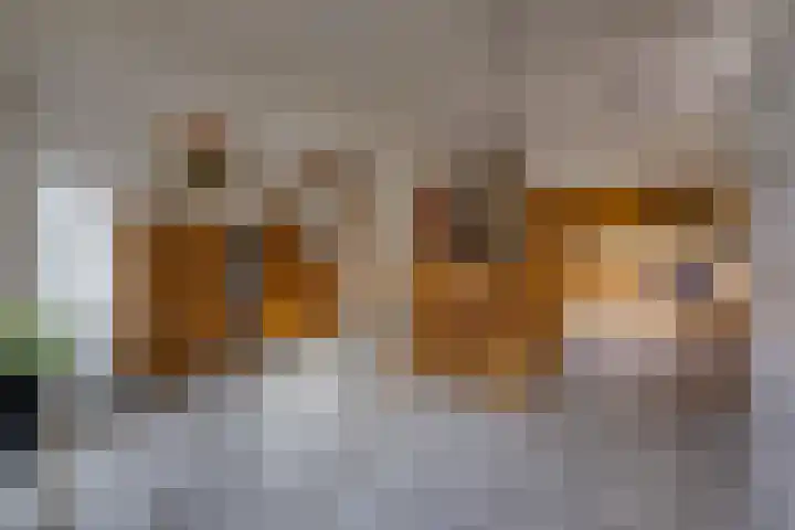 Munnekemoer Oost 3 Ter Apel thumbnail 8