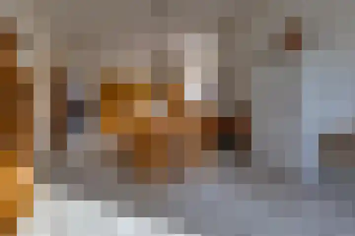 Munnekemoer Oost 3 Ter Apel thumbnail 9
