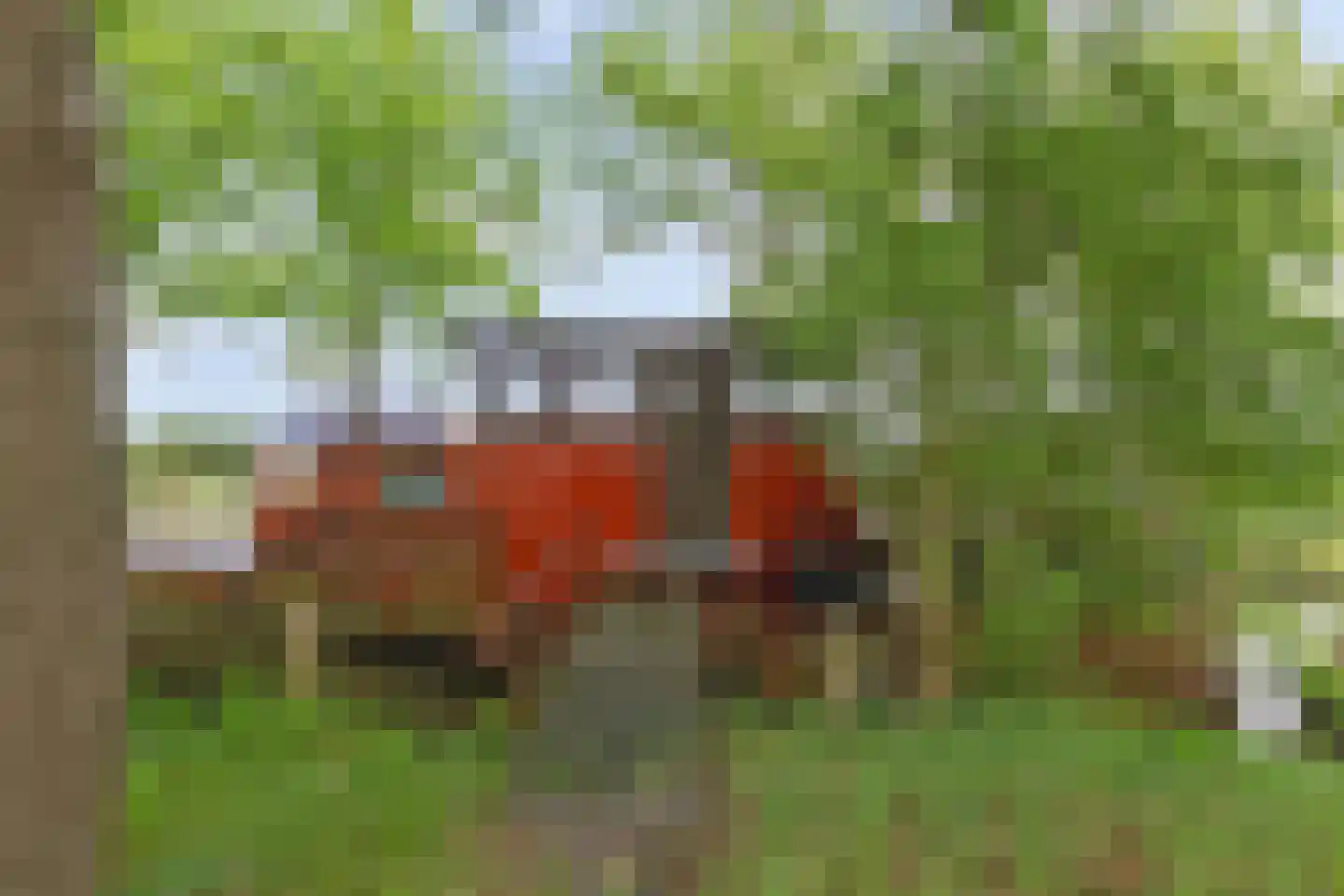 Munnekemoer West 33 Ter Apel thumbnail 10