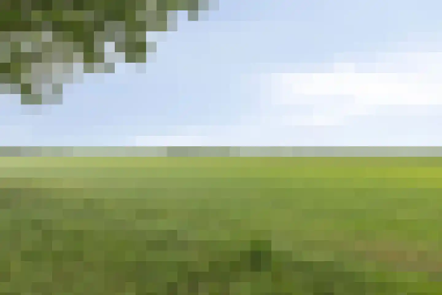Munnekemoer West 33 Ter Apel thumbnail 7