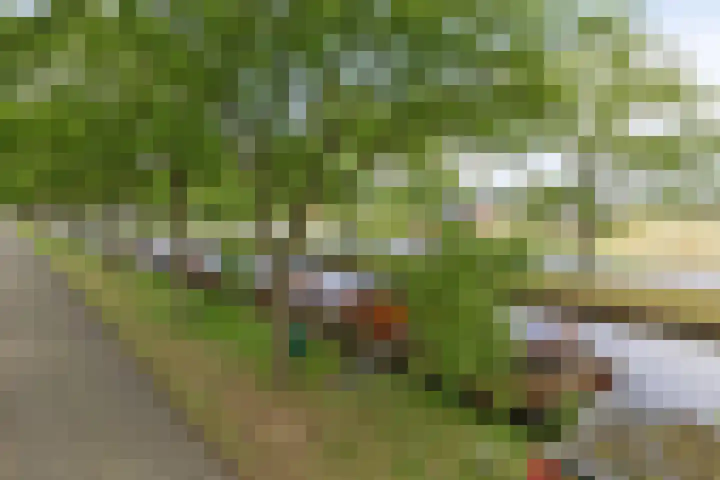 Munnekemoer West 33 Ter Apel thumbnail 9