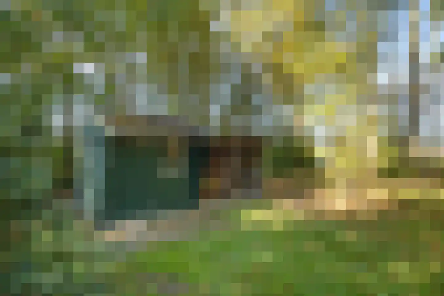 Munnekemoer West 46 Ter Apel thumbnail 44