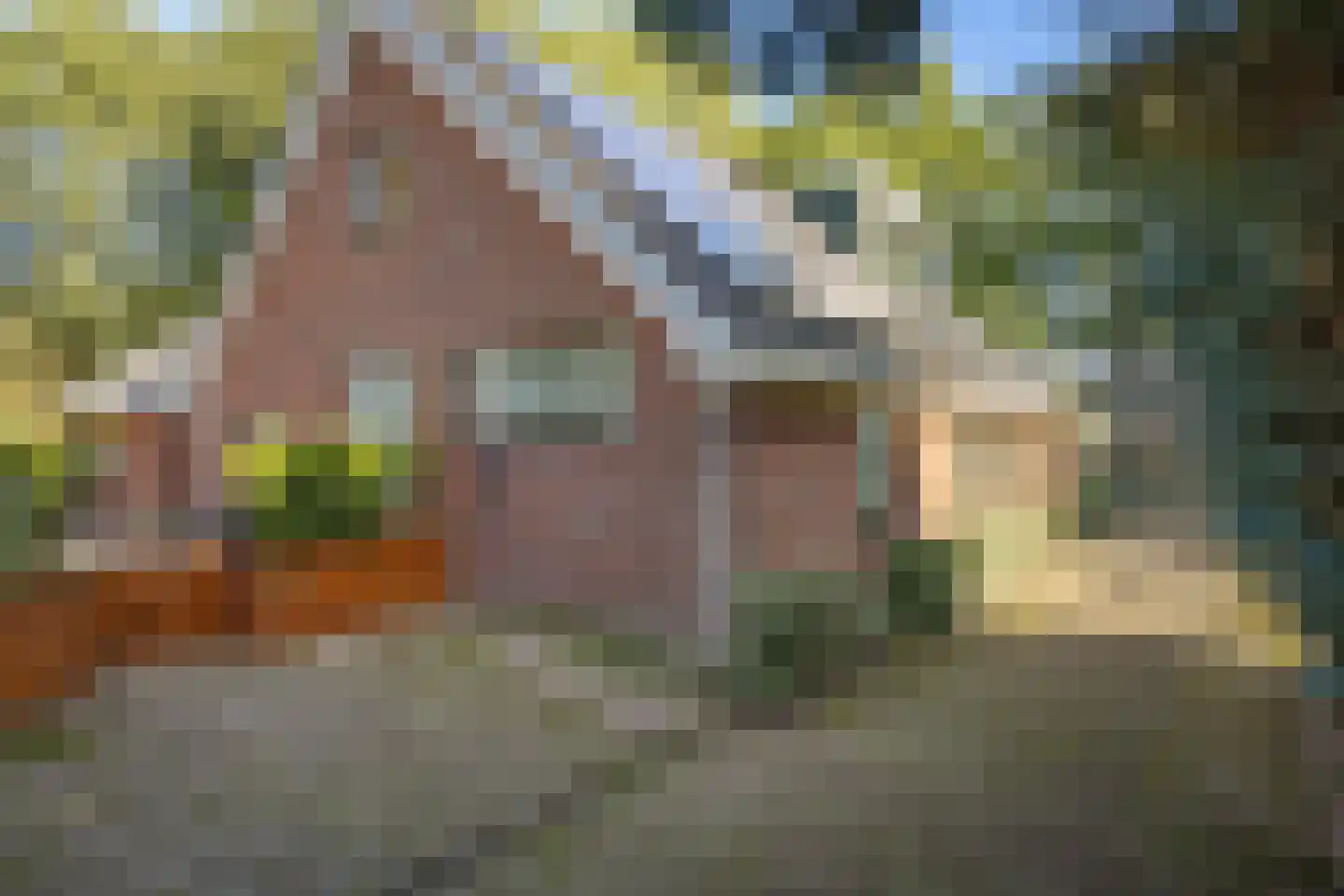 Munnekemoer West 46 Ter Apel thumbnail 52