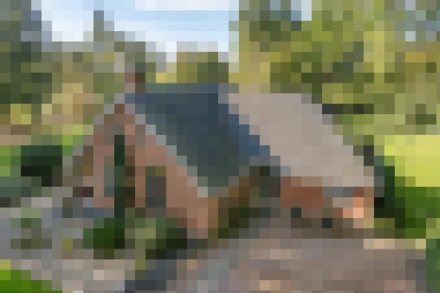 Munnekemoer West 46 Ter Apel thumbnail 54