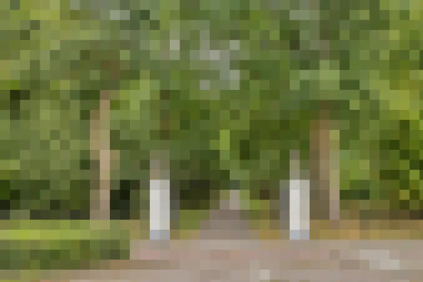 Munnickenhof 20 Heiloo thumbnail 33