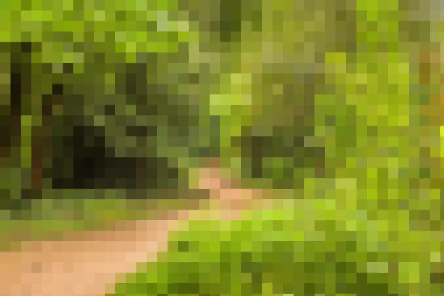 Munnickenhof 20 Heiloo thumbnail 34