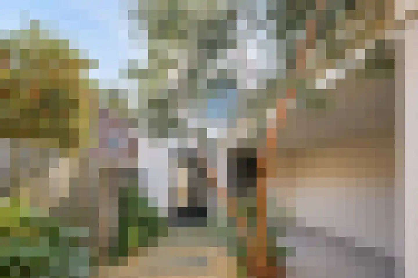 Munnickenveld 11 Hoorn thumbnail 25