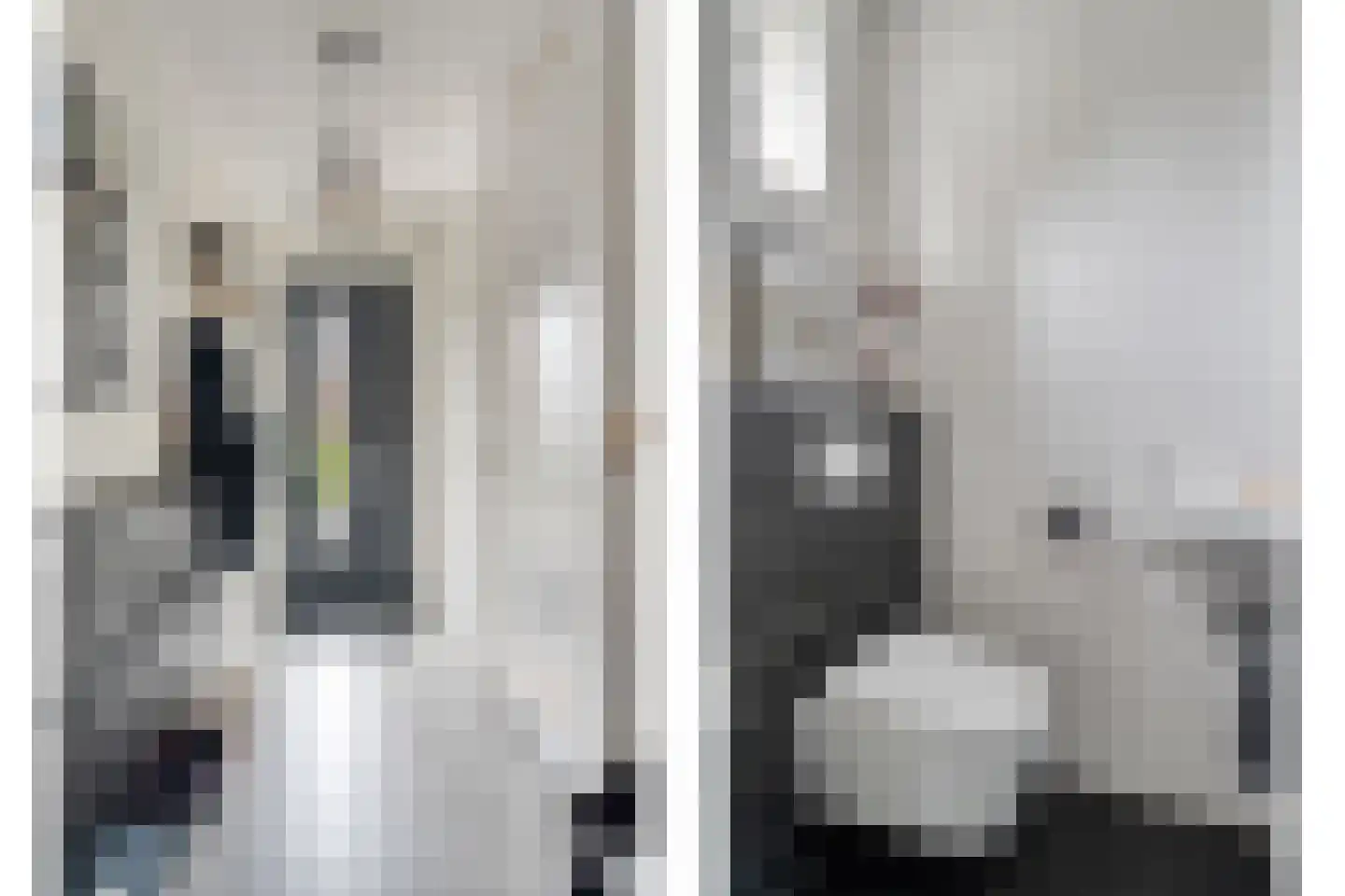 Munnik 4 Nunspeet thumbnail 10