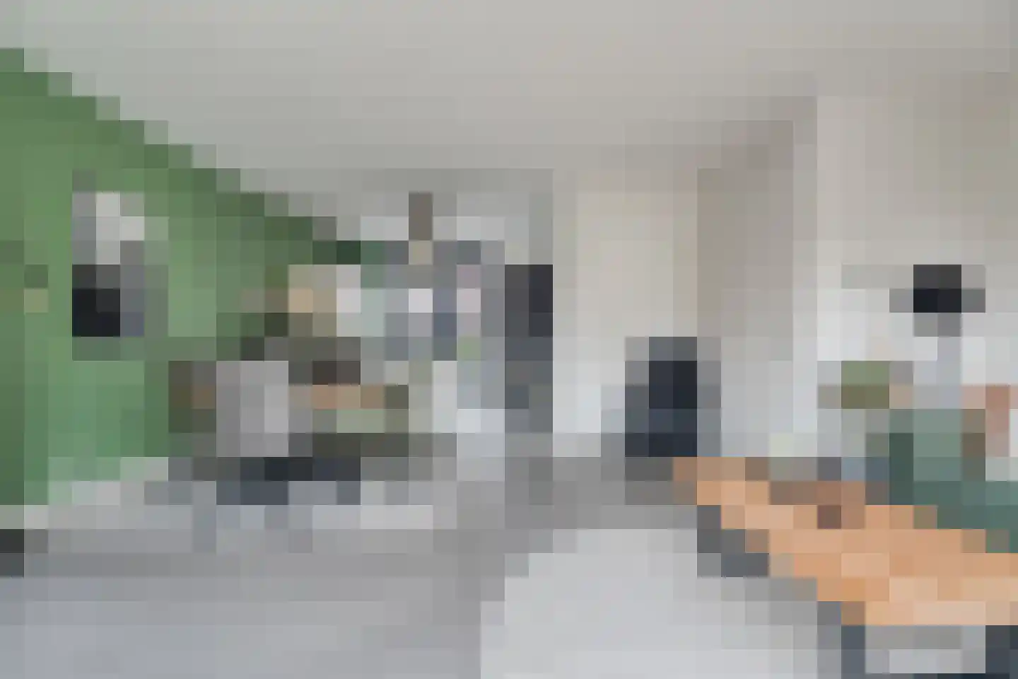 Munnik 4 Nunspeet thumbnail 13