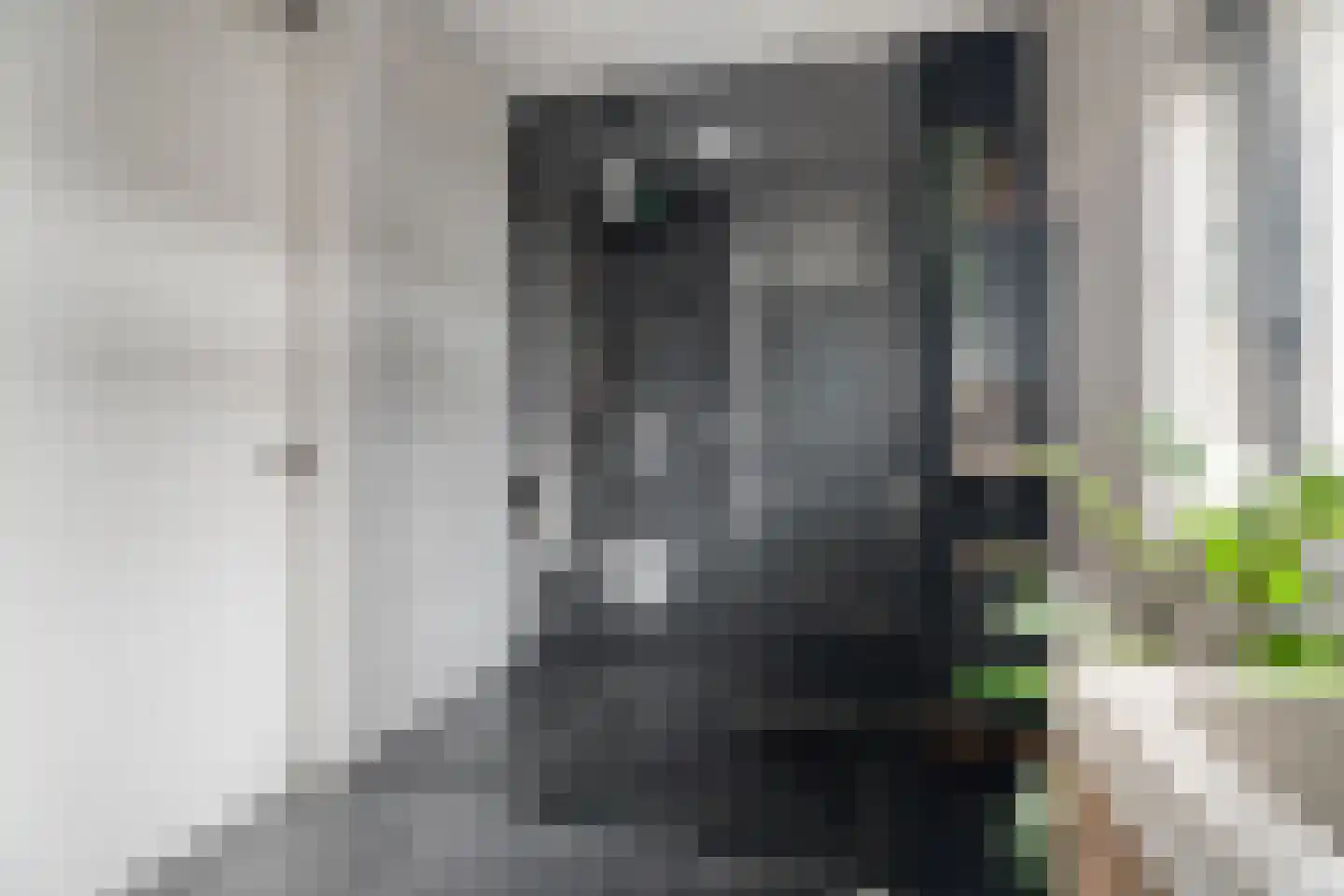 Munnik 4 Nunspeet thumbnail 28