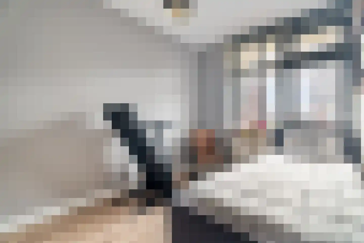 Munnik 4 Nunspeet thumbnail 29