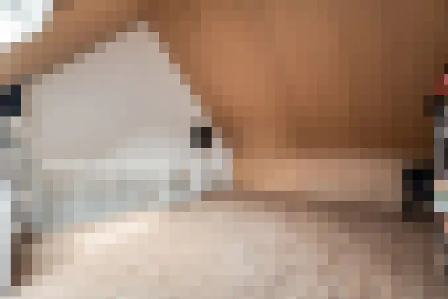 Munnik 4 Nunspeet thumbnail 32