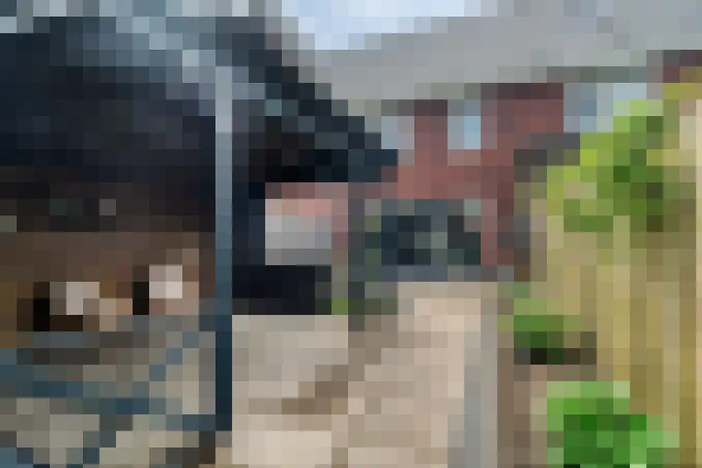 Munnik 4 Nunspeet thumbnail 36