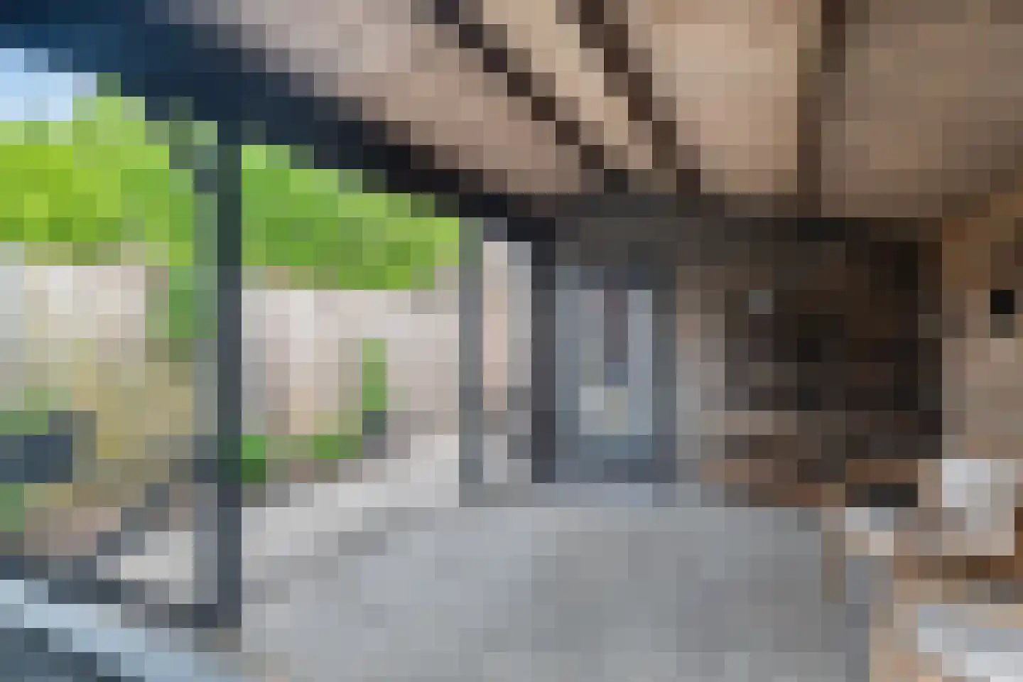 Munnik 4 Nunspeet thumbnail 40
