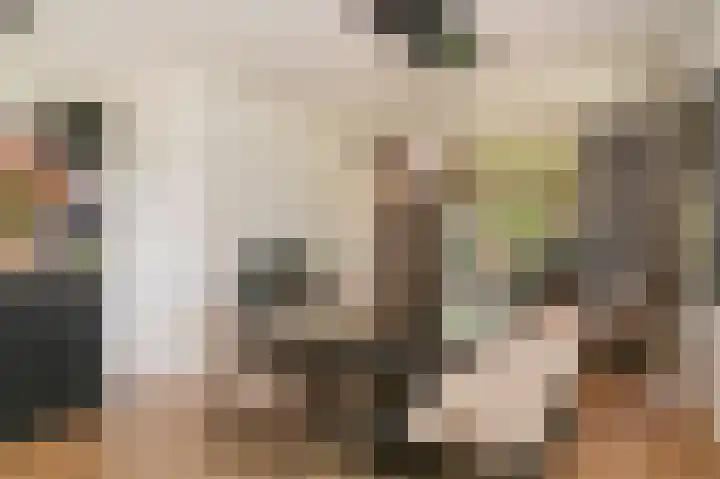 Munnikebeekhof 1 Ederveen thumbnail 22