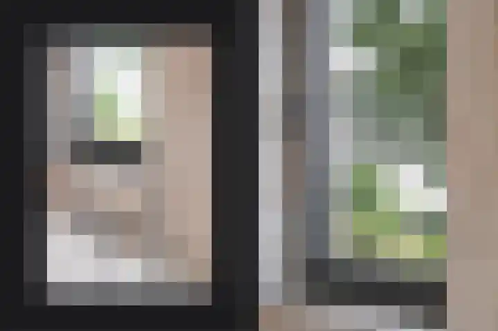 Munnikebeekhof 1 Ederveen thumbnail 36
