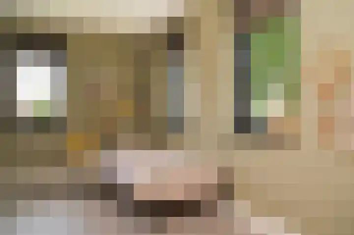 Munnikebeekhof 1 Ederveen thumbnail 41