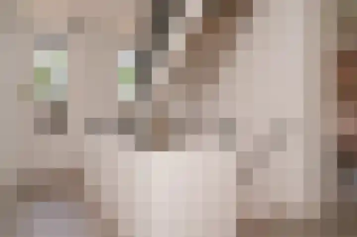 Munnikebeekhof 1 Ederveen thumbnail 43