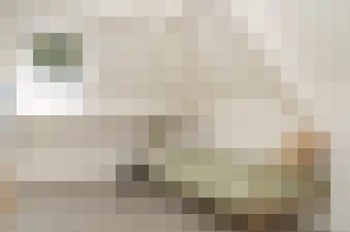 Munnikebeekhof 1 Ederveen thumbnail 47