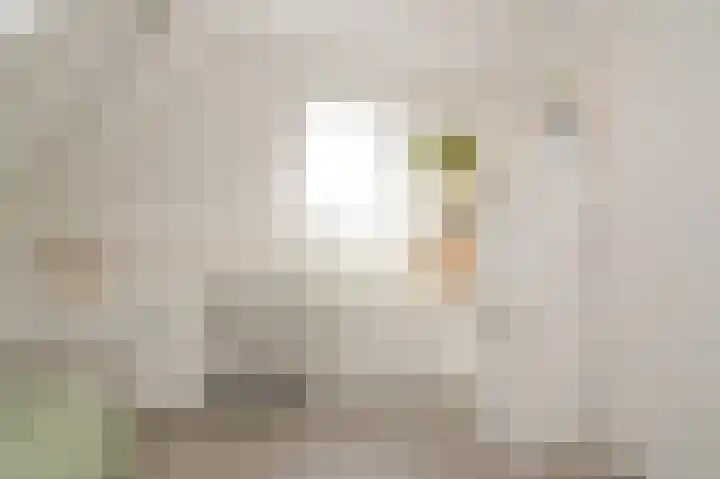 Munnikebeekhof 1 Ederveen thumbnail 48