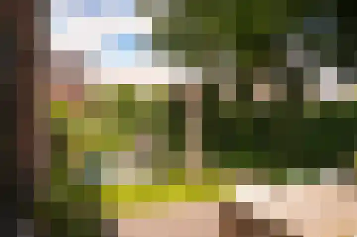 Munnikebeekhof 1 Ederveen thumbnail 51