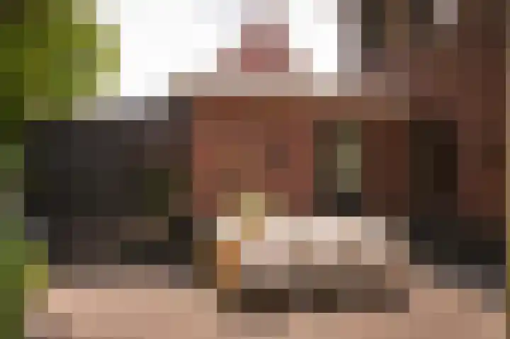 Munnikebeekhof 1 Ederveen thumbnail 52