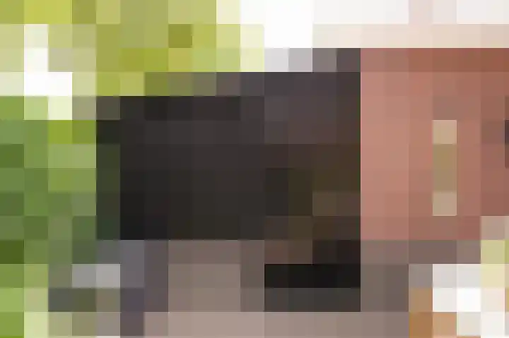 Munnikebeekhof 1 Ederveen thumbnail 53