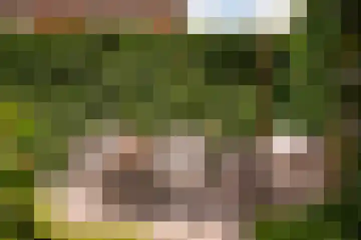 Munnikebeekhof 1 Ederveen thumbnail 57