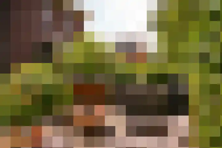 Munnikebeekhof 1 Ederveen thumbnail 58