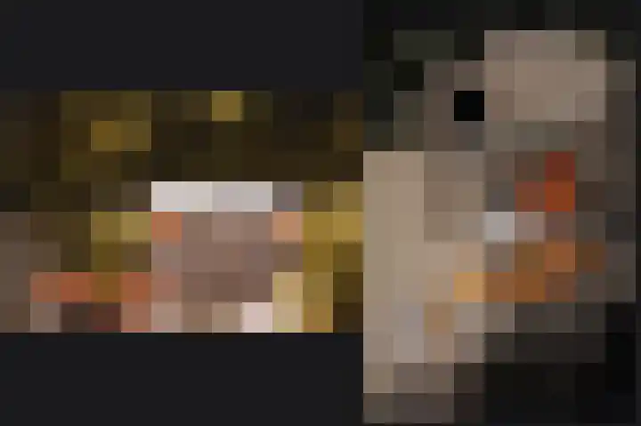 Munnikebeekhof 1 Ederveen thumbnail 59