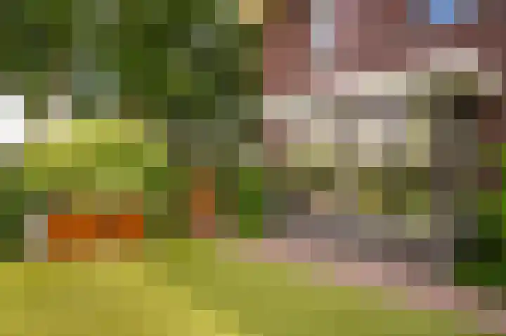 Munnikebeekhof 1 Ederveen thumbnail 60