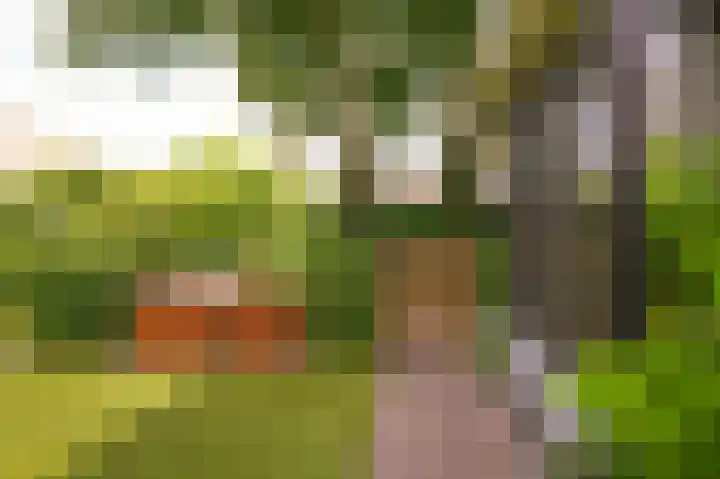 Munnikebeekhof 1 Ederveen thumbnail 61