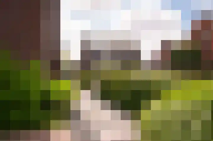 Munnikebeekhof 1 Ederveen thumbnail 65