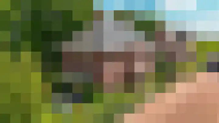 Munnikebeekhof 1 Ederveen thumbnail 69