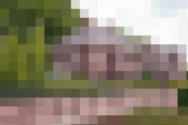 Munnikebeekhof 1 Ederveen thumbnail 70