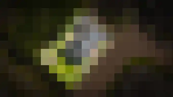 Munnikebeekhof 1 Ederveen thumbnail 71