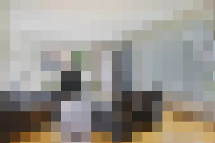 Munnikenakker 22 Mierlo thumbnail 18