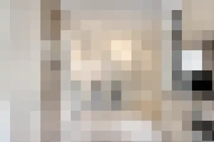 Munnikenakker 22 Mierlo thumbnail 24