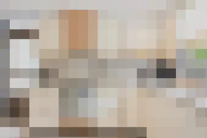 Munnikenakker 22 Mierlo thumbnail 25