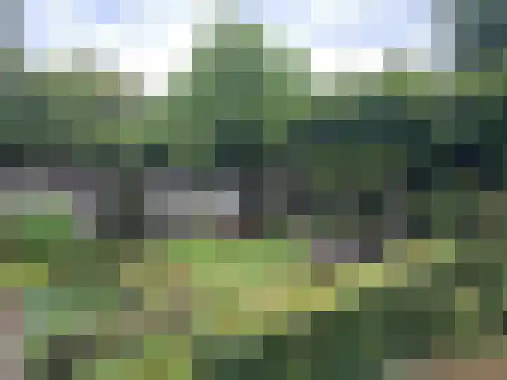 Munnikenakker 22 Mierlo thumbnail 28