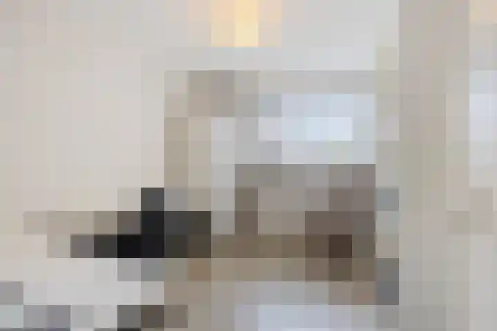 Munnikenakker 22 Mierlo thumbnail 36