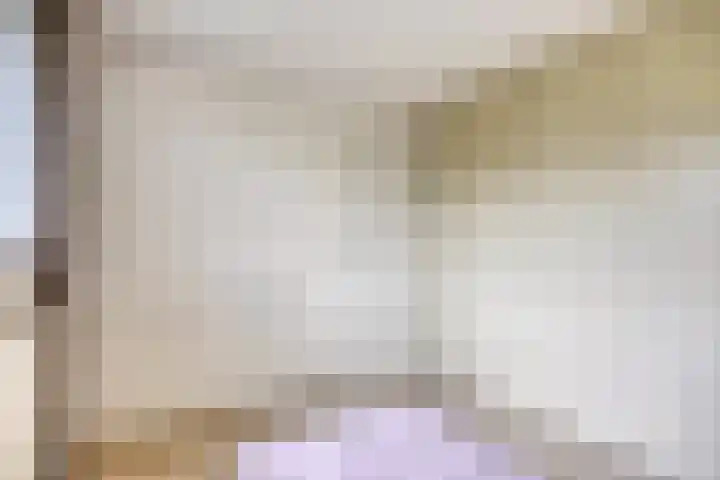 Munnikenakker 22 Mierlo thumbnail 39