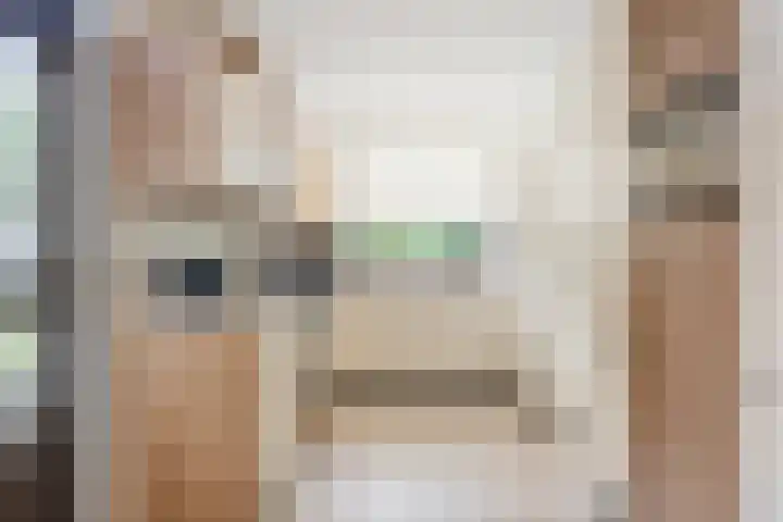 Munnikenakker 22 Mierlo thumbnail 4