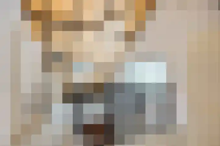 Munnikenakker 22 Mierlo thumbnail 41